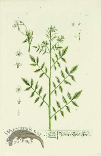 Blackwell German 250